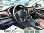 2022 Subaru Outback Premier Certified | Low Mileage | Apple Carplay | Android Auto | Backup Camera
