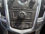 2012 Cadillac SRX Luxury-14