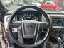 2014 Ford F-150 Lariat-10