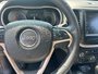 Jeep Cherokee North 2015-11