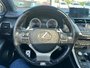 2017 Lexus NX 200t-21