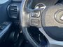 2017 Lexus NX 200t-14