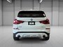 BMW X3 xDrive30i PREMIUM PKG TOIT PANO NAV 2019-11