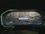 Chevrolet Silverado 1500 LT TRAIL BOSS ZZ1 GPS CARPLAY ACCES SANS CLE 2022-29