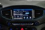 2018 Hyundai IONIQ PLUG-IN HYBRID HYBRID PLUG-IN CARPLAY NAVIGATION CAMERA-25
