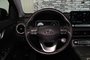 Hyundai KONA ELECTRIC PREFERRED NAVIGATION CAMERA CARPLAY BLUELINK MAGS 2023-30