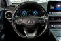 Hyundai Kona Electric PREFERRED NAVIGATION CAMERA CARPLAY BLUELINK MAGS 2023-4