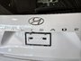 Hyundai Palisade Ultimate Calligraphy 2022-7