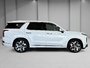 Hyundai Palisade Ultimate Calligraphy 2022-10