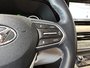 Hyundai Palisade Ultimate Calligraphy 2022-29