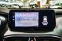 Hyundai Santa Fe PREFERRED CARPLAY CAM NAV BLUELINK  KEYLESS 2023-24