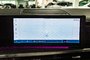 Hyundai Santa Fe ULTIMATE CALLIGRAPHY 6 PASS TOIT PANO CAM360 NAVI 2024-28