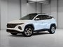 Hyundai Tucson PREFERRED TREND AWD TOIT PANORAMIQUE CUIR BLUELINK 2023-0