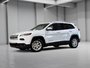 Jeep Cherokee NORTH SIEGES VOLANT CHAUFFANTS BLUETOOTH CRUISE 2015-0
