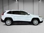 Jeep Cherokee NORTH SIEGES VOLANT CHAUFFANTS BLUETOOTH CRUISE 2015-15