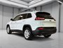 Jeep Cherokee NORTH SIEGES VOLANT CHAUFFANTS BLUETOOTH CRUISE 2015-8