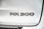 Lexus NX 300 AWD TOIT OUVRANT CUIR NAVIGATION MAGS 2018-15