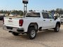 2025 GMC Sierra 3500 HD PRO SRW-4