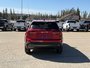 2025 GMC Terrain Elevation-5