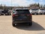 2025 GMC Terrain Elevation-5