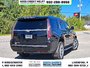 2020 Cadillac Escalade Luxury-5