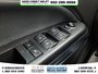 2022 Chevrolet Colorado 4WD Z71-8