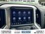 2020 Chevrolet Silverado 1500 LT Trail Boss-14