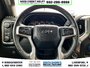 2020 Chevrolet Silverado 1500 LT Trail Boss-12
