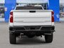 2025 Chevrolet Silverado 1500 Custom Trail Boss-4