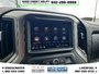 2024 Chevrolet Silverado 2500HD Custom-15