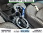 2014 Chevrolet Spark EV LT-18