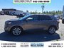 2019 Ford Edge Titanium-1