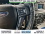 2015 Ford F-150 XLT-10
