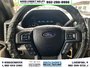 2015 Ford F-150 XLT-15