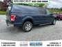 2015 Ford F-150 XLT-3