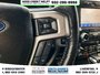 2019 Ford F-150 LARIAT-12