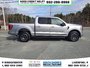 2022 Ford F-150 XLT-4