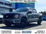 2025 Ford F-150 XLT-0
