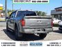 2025 Ford F-150 XLT-4