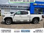 2020 GMC Sierra 1500 Denali-1
