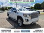 2020 GMC Sierra 1500 Denali-6