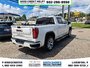 2020 GMC Sierra 1500 Denali-4