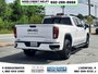 2023 GMC Sierra 1500 Elevation-5