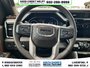 2024 GMC Sierra 1500 Denali-12