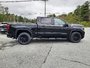 2025 GMC Sierra 1500 PRO-4