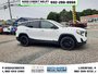 2019 GMC Terrain SLT-2
