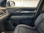 2025 GMC Terrain Elevation-20