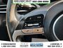 2025 Hyundai Elantra Preferred-11