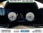 2025 Hyundai Elantra Preferred-14