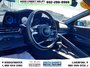 2025 Hyundai Elantra Preferred-1